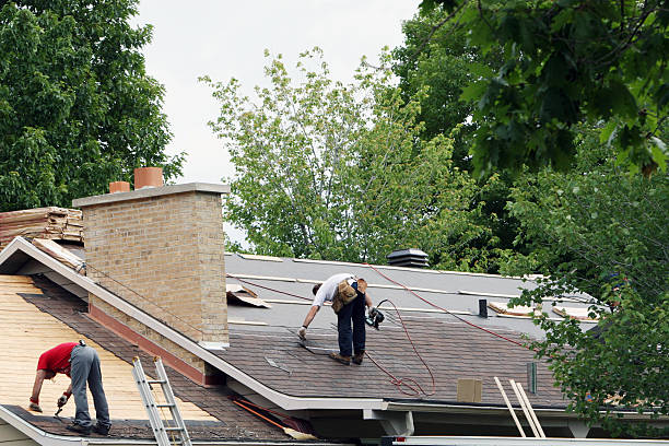 Best Roof Gutter Cleaning  in Homer, AK