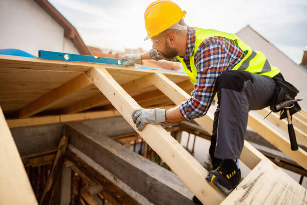Best Roof Maintenance Services  in Homer, AK